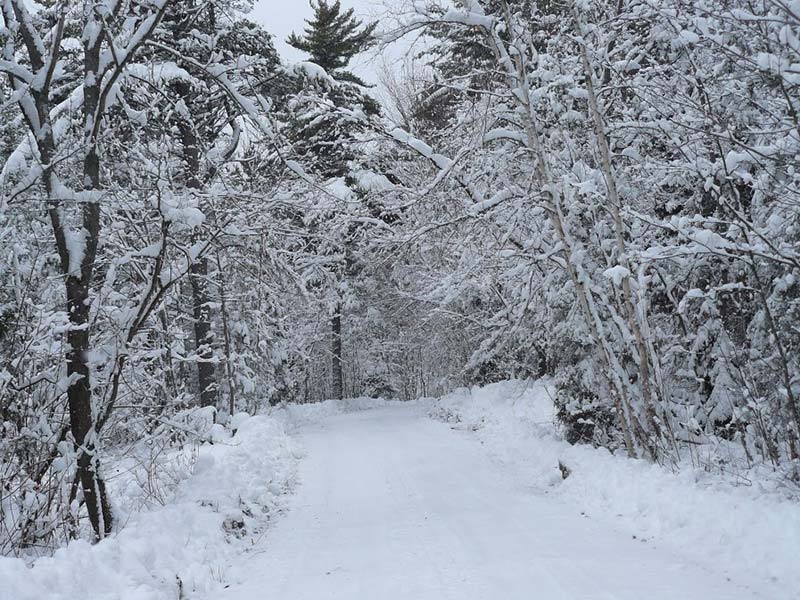 winter-island-road